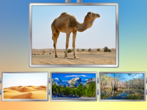 Matching Animals to Habitats image