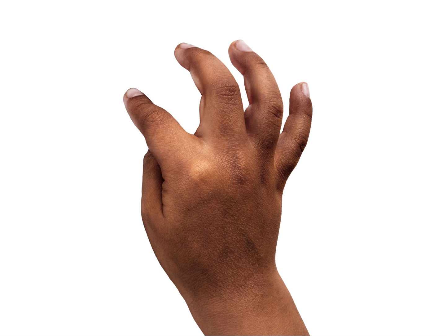 More Fingerplays image