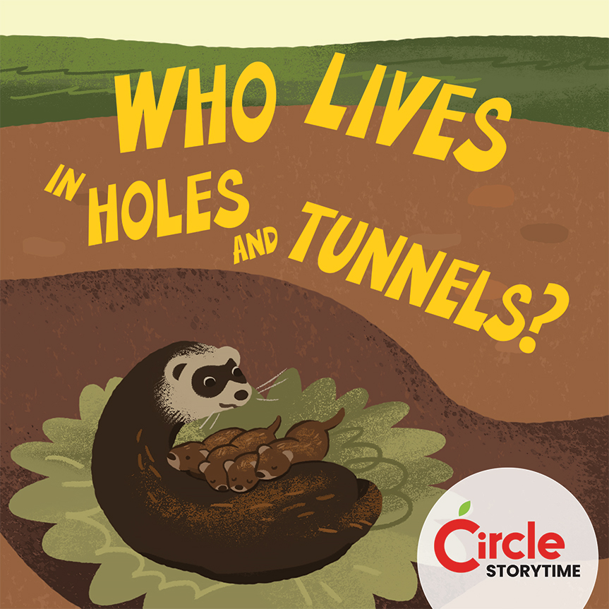 Who Lives in Holes and Tunnels?