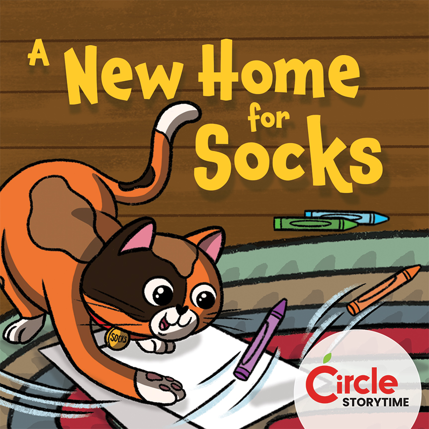 A New Home for Socks
