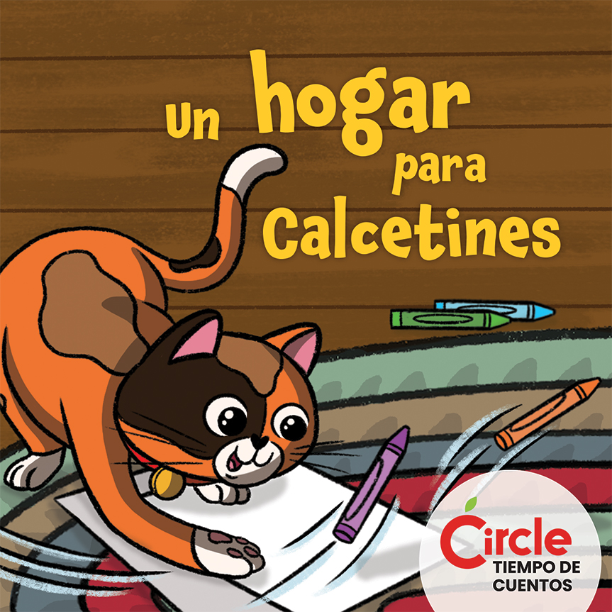 Un hogar para Calcetines